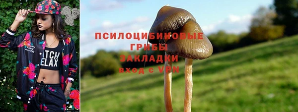 мяу мяу мука Михайлов