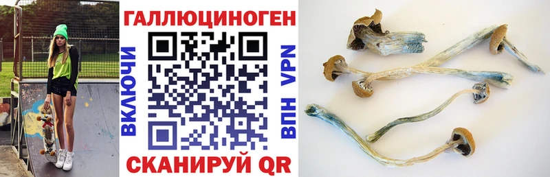 Псилоцибиновые грибы MAGIC MUSHROOMS  Тейково 